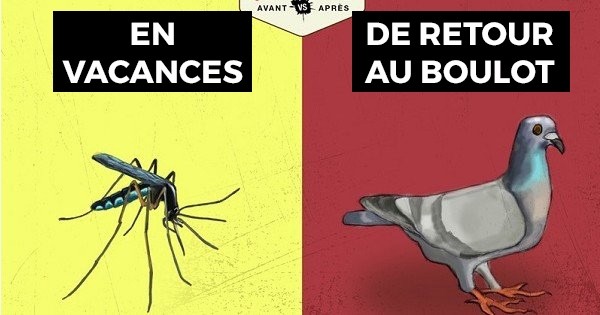 7 différences majeures entre le quotidien des vacances... et le celui de la rentrée : on veut repartir à la plage, et vite !