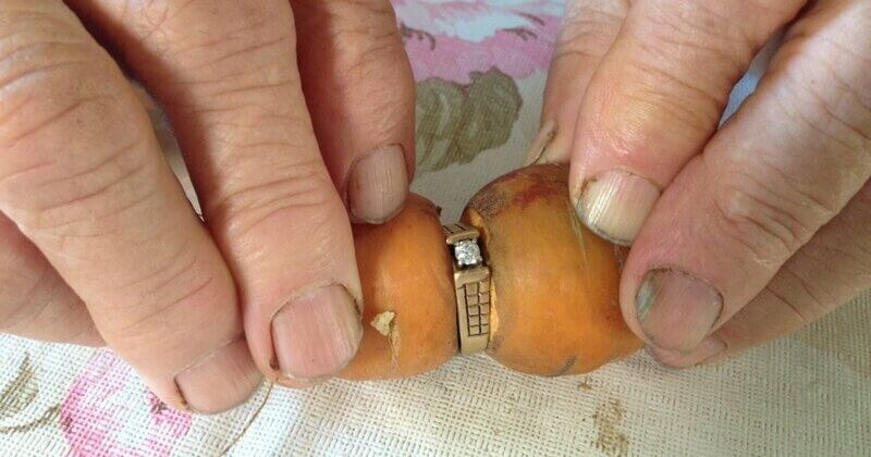 13 ans après l'avoir perdue dans son potager, elle retrouve sa bague de fiançailles autour d'une carotte