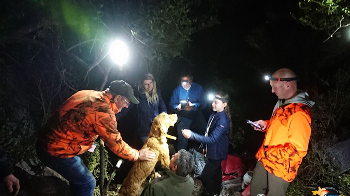 Coincé à cinq mètres sous terre, ce chien a été sauvé grâce à une opération de sauvetage réalisée en deux jours