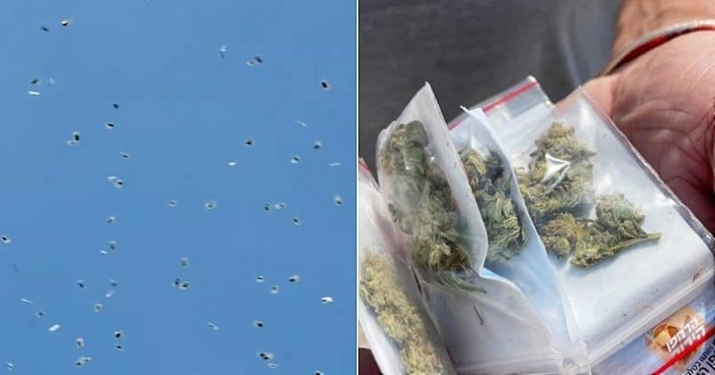 À Tel Aviv, des centaines de pochons remplis de cannabis sont tombés du ciel