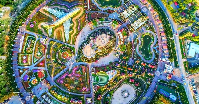 Partez aux Émirats Arabes Unis découvrir le « Dubaï Miracle Garden », un lieu hors du temps