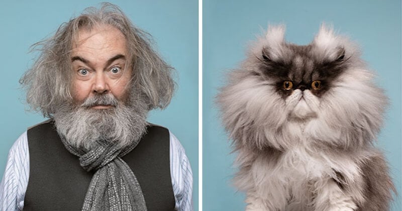 11 portraits d'humains et de chats qui sont des véritable sosies