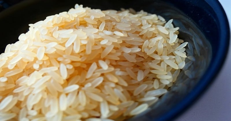 Le riz rond, un indispensable pour vos recettes de risottos, curry,  paëllas, riz au lait, gâteaux de riz