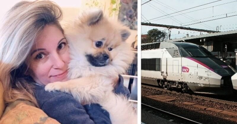	 Son chien meurt de chaud dans un train de la SNCF, elle se voit offrir... un bon d'achat