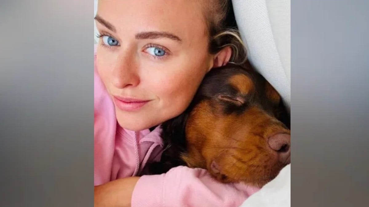 « Le pire jour de ma vie » : son cocker la mord et lui arrache la joue, elle le fait euthanasier 