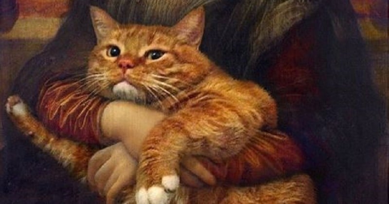 De Vinci, Picasso, Van Gogh... Un gros chat roux s'incruste dans les  tableaux les plus connus et le résultat est hilarant