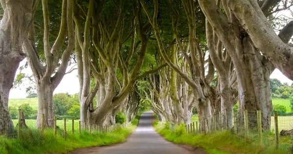 Vous êtes fan de Game of Thrones ? Voici 6 destinations pour partir en voyage dans les décors de la série !