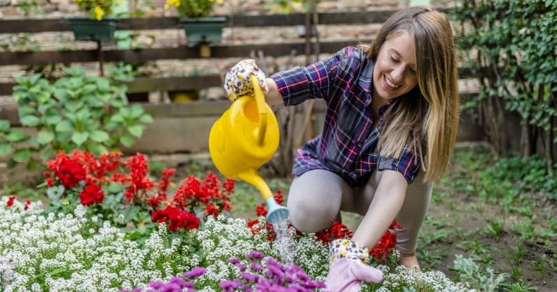 Ces femmes utilisent le sang de leurs règles pour arroser leurs plantes