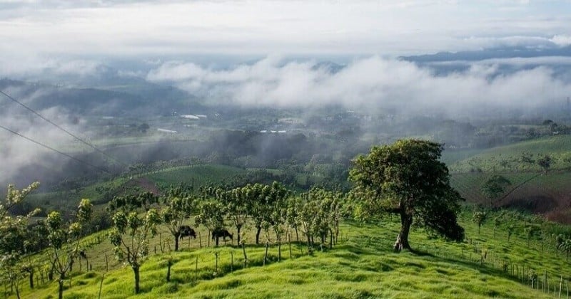 Le Costa Rica lance son plan climat de décarbonation pour être le premier état du monde à atteindre zéro émission d'ici 2050