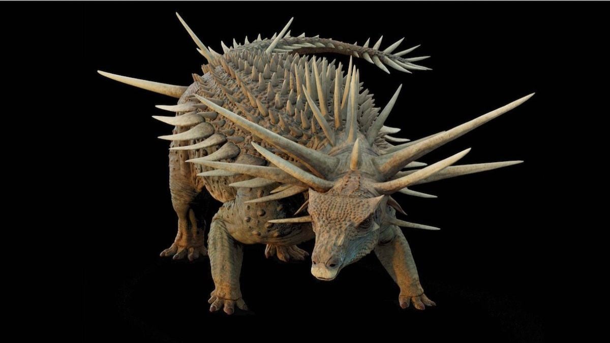 Un dinosaure «étrange» découvert au Maroc, il possède une caractéristique unique et jamais vue auparavant