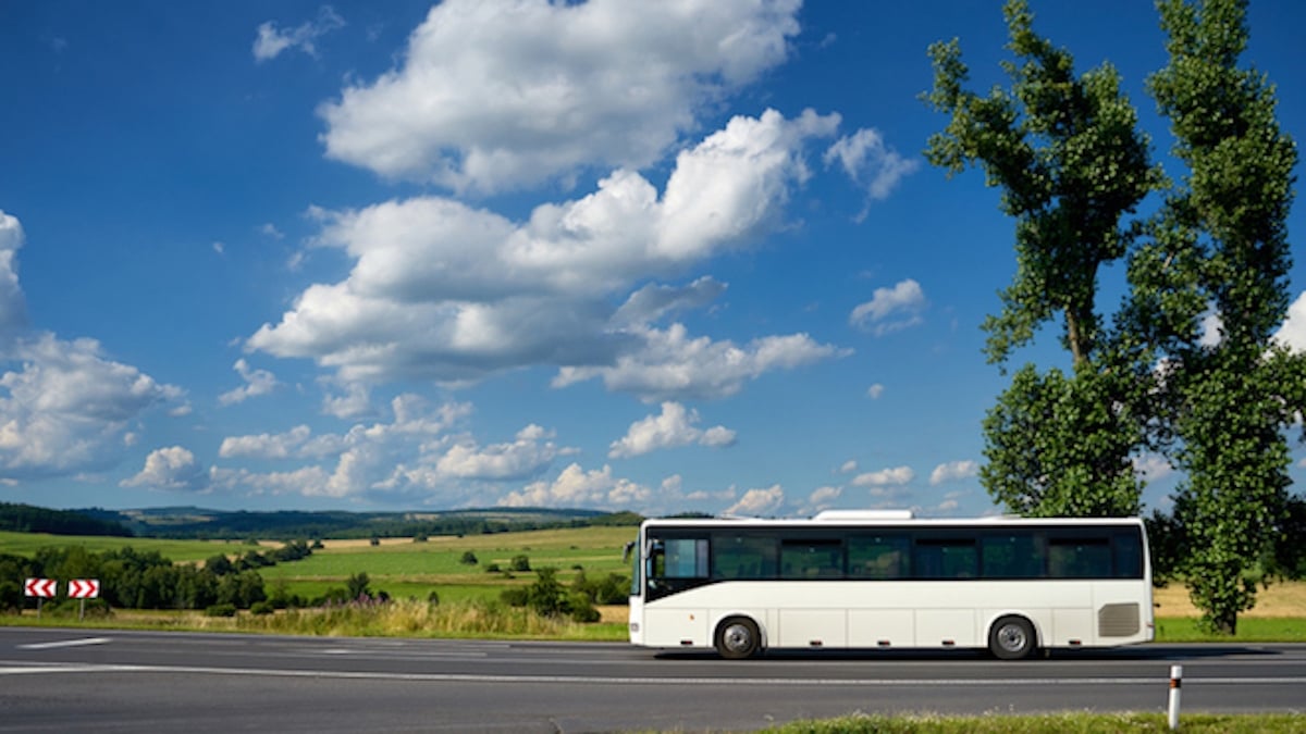 “Dégagez du bus, c'est le terminus !” : un chauffeur se trompe de route et abandonne 26 élèves à 8 km de leur destination