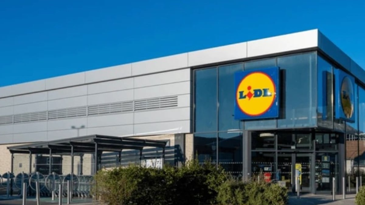 Cet accessoire indispensable pour votre chien est disponible à prix mini chez Lidl 