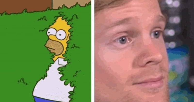 C'est officiel : l'utilisation des GIF est devenue ringarde et est associée aux « boomers » 