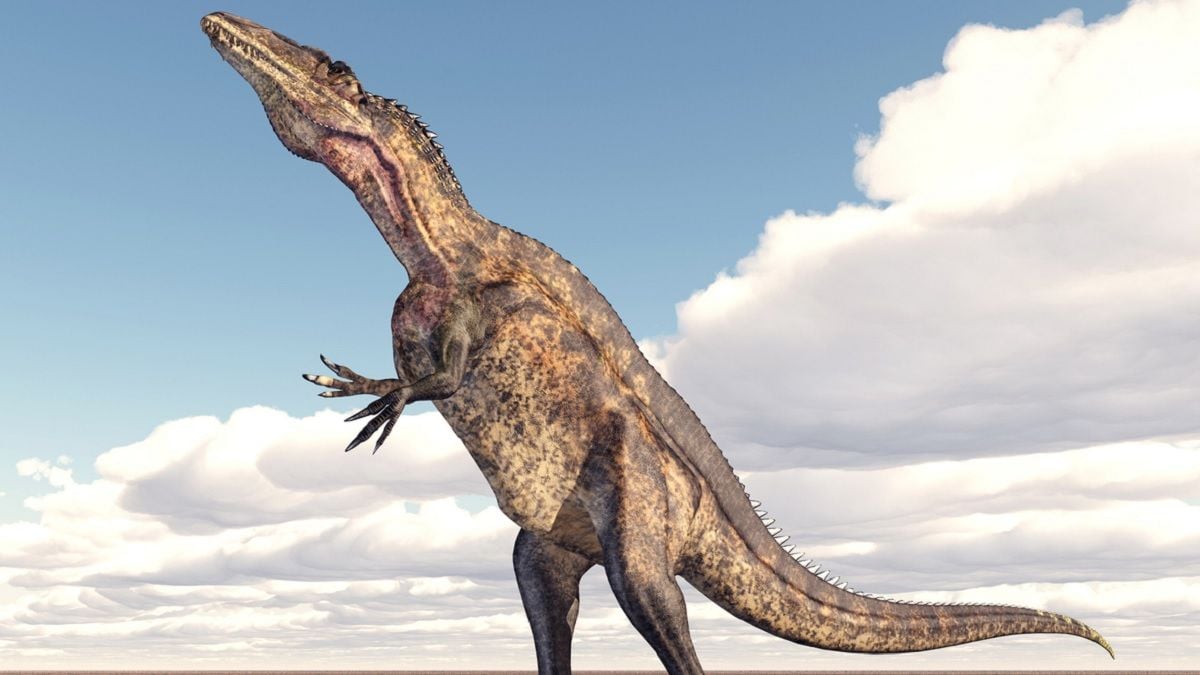 Une nouvelle espèce de megaraptor a été découverte avec son dernier repas dans la bouche