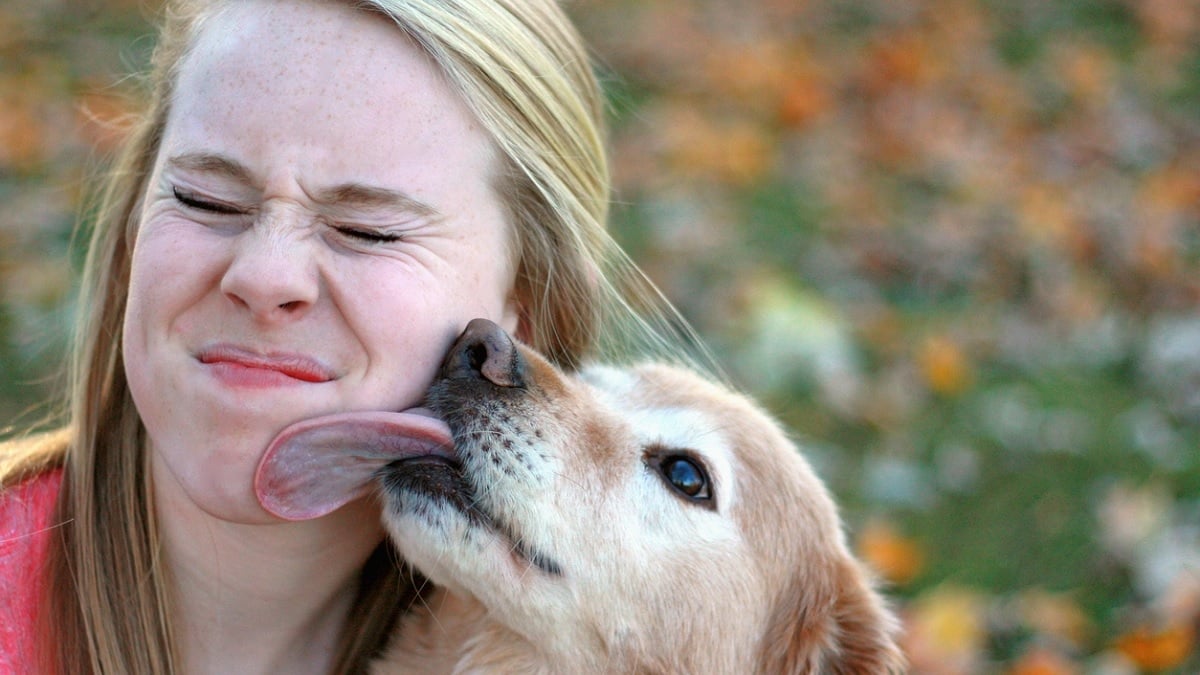Est-il sale de laisser votre chien vous lécher le visage ?