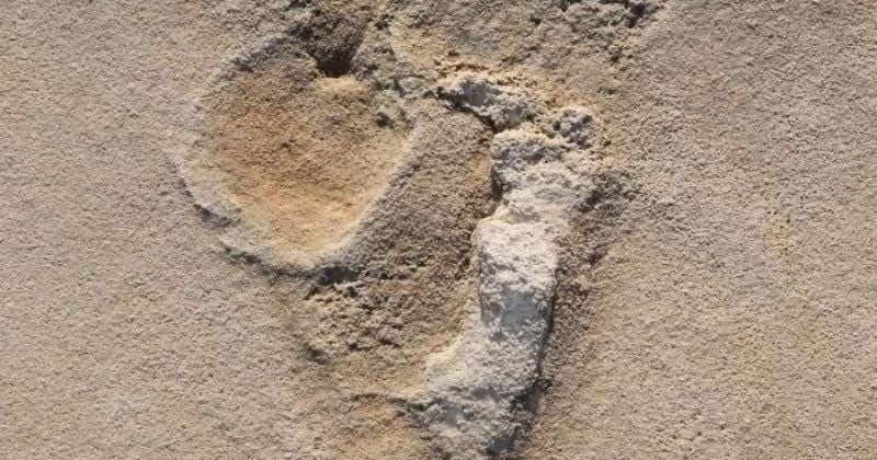 Ces mystérieuses empreintes de pas fossilisées pourraient être les plus anciennes d'hominidés
