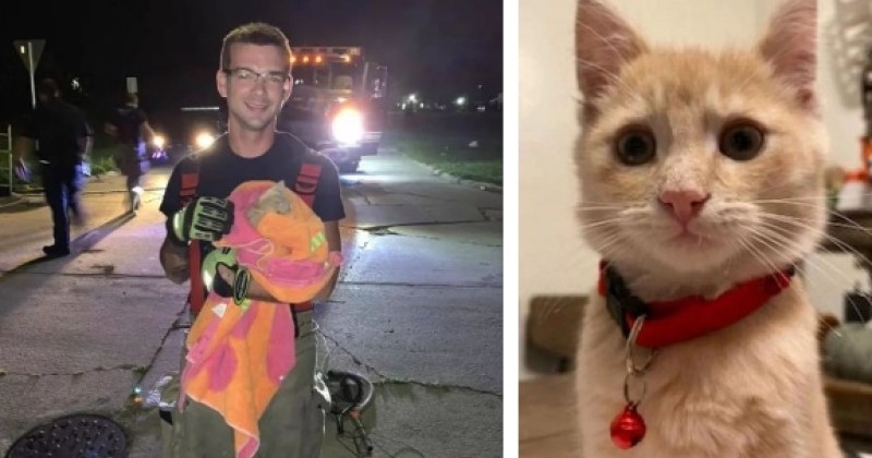 Ce pompier a adopté un chaton qu'il a sauvé alors qu'il était bloqué dans un égout