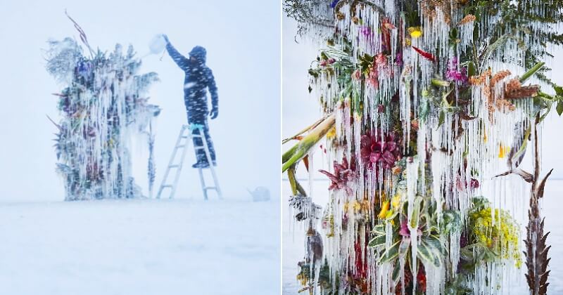 Cet artiste japonais a placé une composition florale dans un paysage glacé, et le résultat est magique