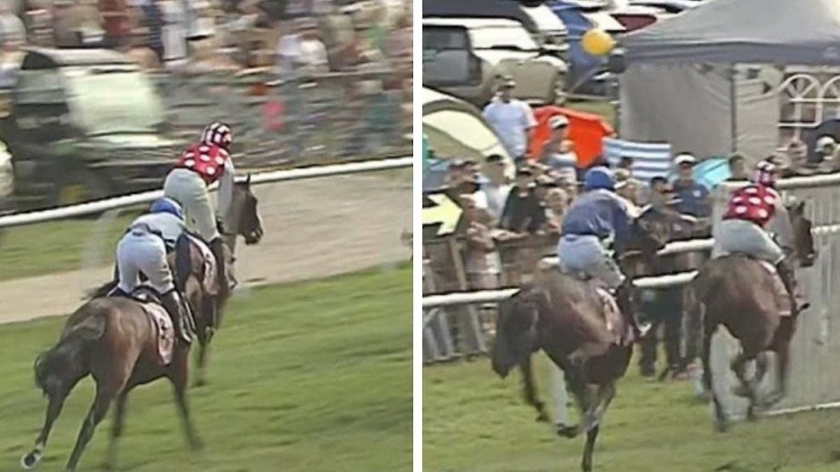 Victime d'un malaise cardiaque en pleine course, un cheval percute des spectateurs avant de décéder 