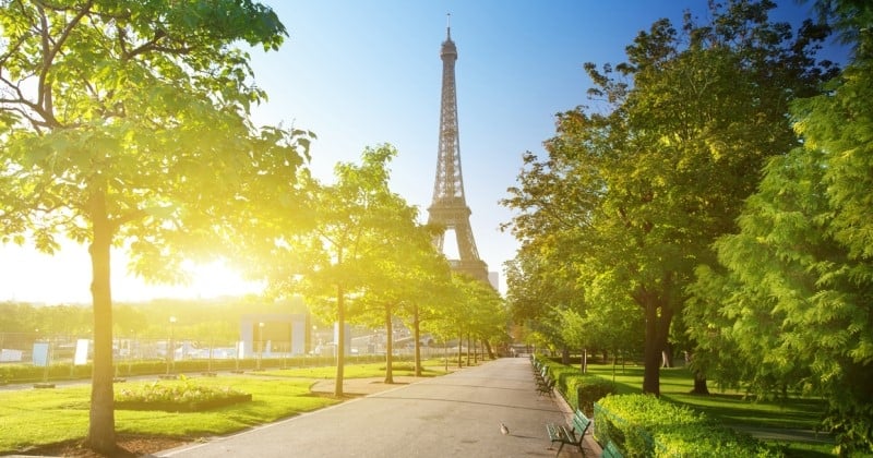 Les arbres au pied de la tour Eiffel abattus pour construire une bagagerie ? Face à la grogne, la mairie de Paris réagit