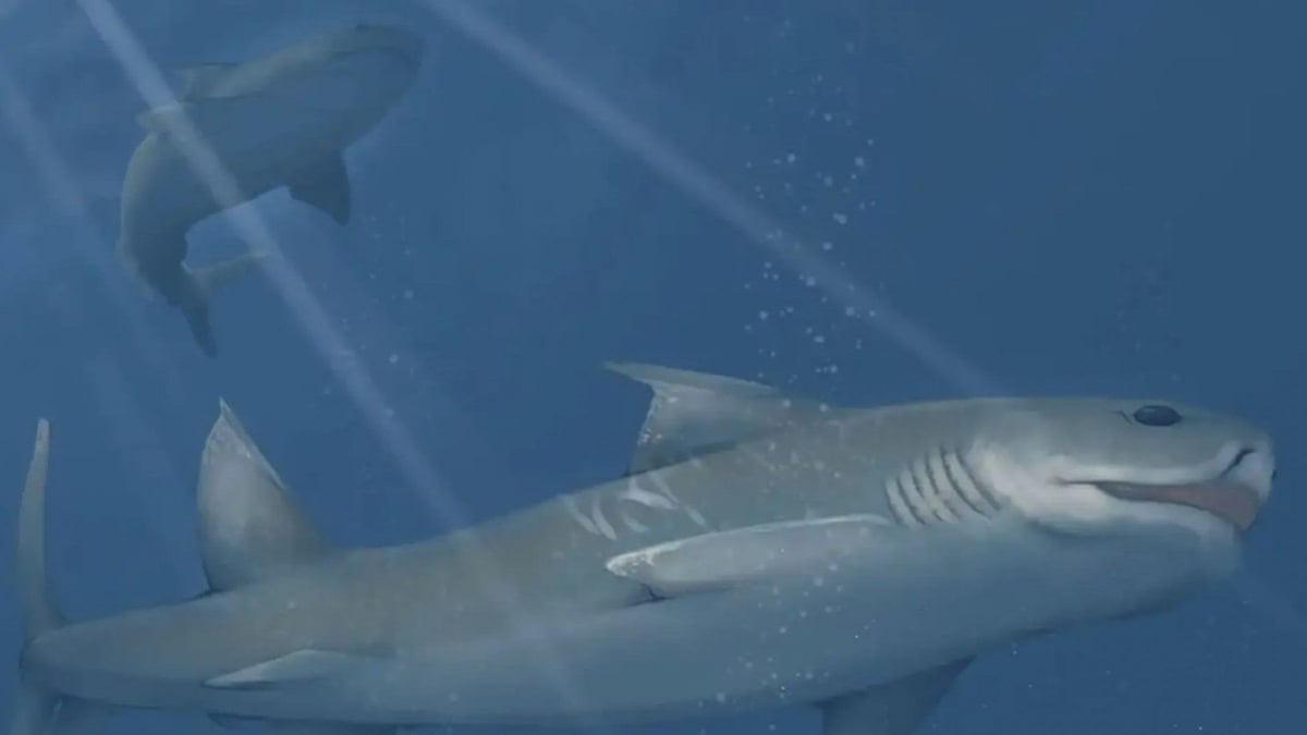 États-Unis : des scientifiques découvrent deux nouvelles espèces de requins préhistoriques dans une grotte 