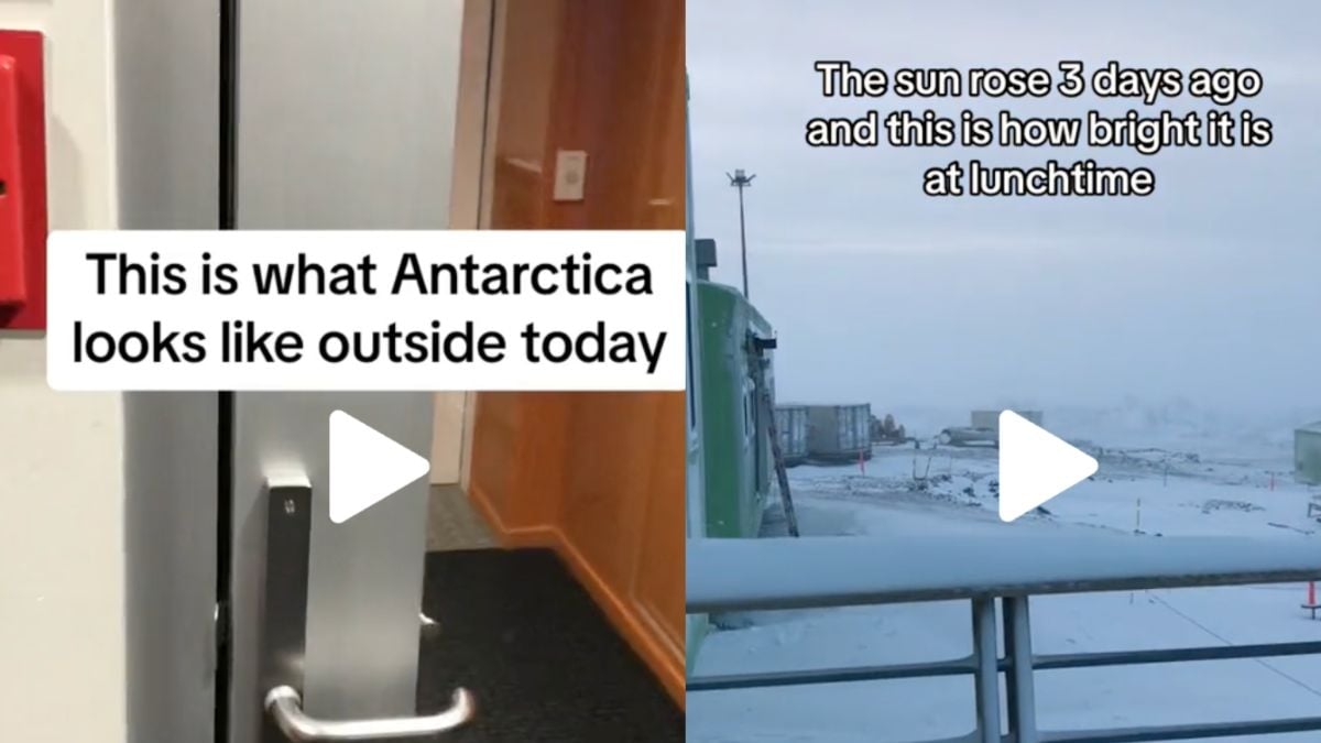 “C'est ma plus grande peur” : Cet homme révèle la face cachée de l'Antarctique dans une vidéo TikTok 