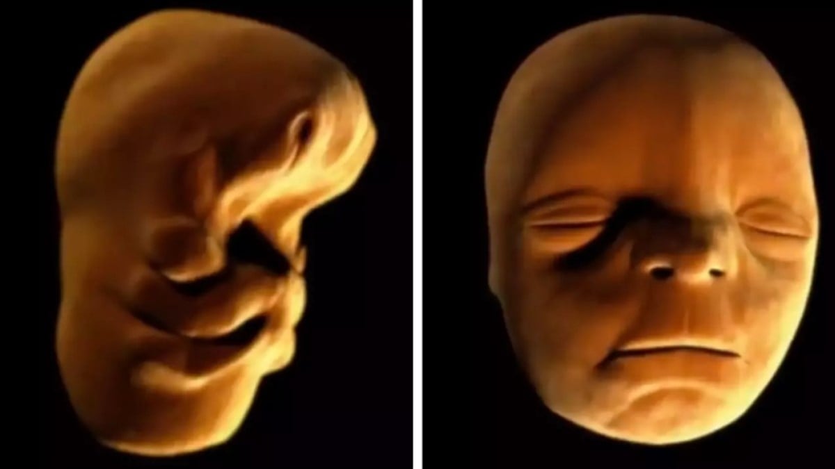 Un documentaire montre la formation du visage d'un bébé dans l'utérus de sa mère, des images fascinantes et terrifiantes