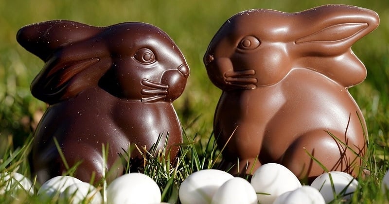 Pâques : le chocolat est-il dangereux pour votre chien ? 