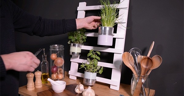 DIY : Pour garder toujours vos herbes fraîches à portée de main lorsque vous cuisinez, fabriquez-vous un mini-jardinet suspendu pour votre cuisine avec Bonduelle !