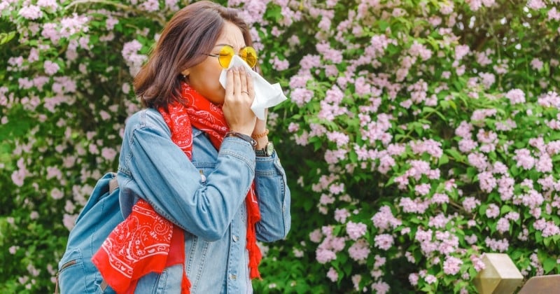 Pollen : Les 6 arbres à éviter quand on est allergique