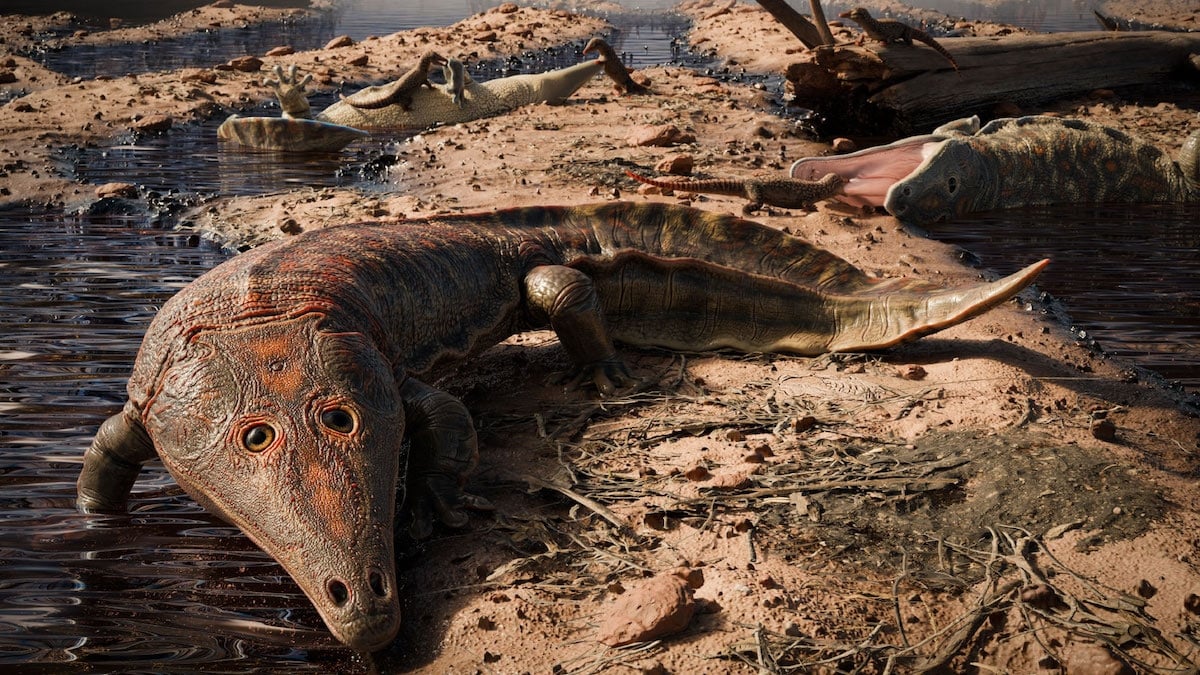 Brésil : découverte d'une nouvelle espèce d'amphibien géant plus vieille que les dinosaures