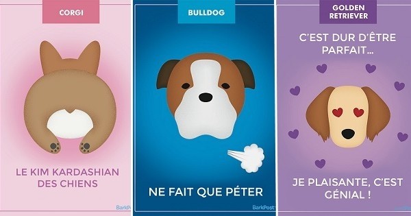 Voici 11 chiens totalement honnêtes à propos d'eux avec des slogans très drôles !