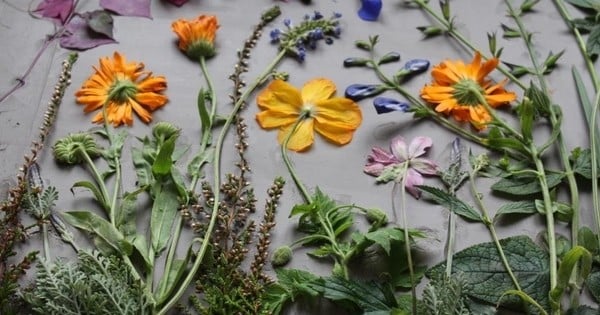 Une artiste a une idée bien particulière des compositions florales puisqu'elle les transforme... en fossiles !