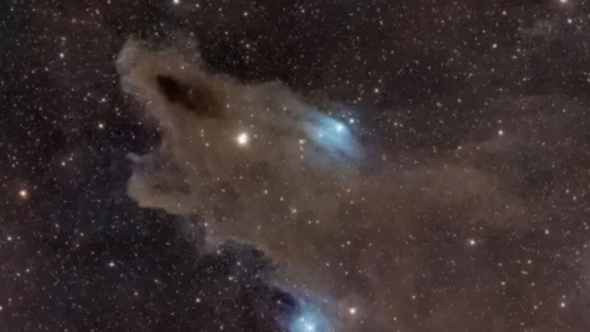 Un « requin spatial » photographié à 650 années-lumière de la Terre, un cliché rarissime et merveilleux