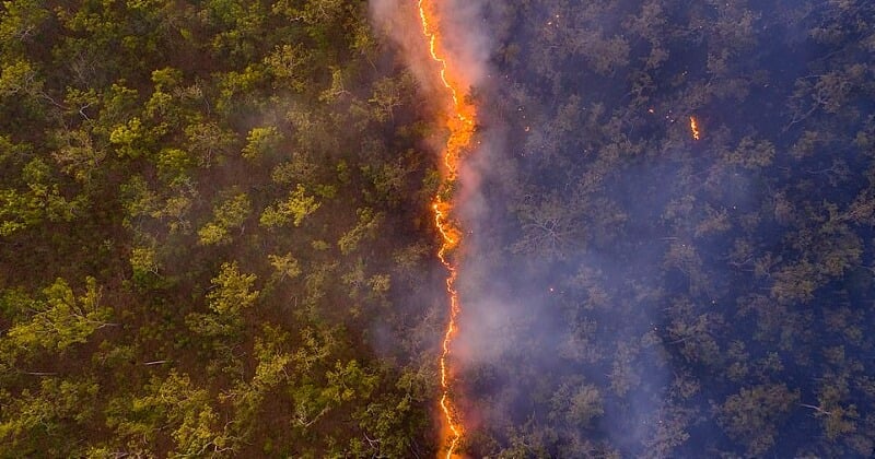 Australie : cette photo par drone d'un incendie reçoit le prix du public au Wildlife Photographer of the Year 2020