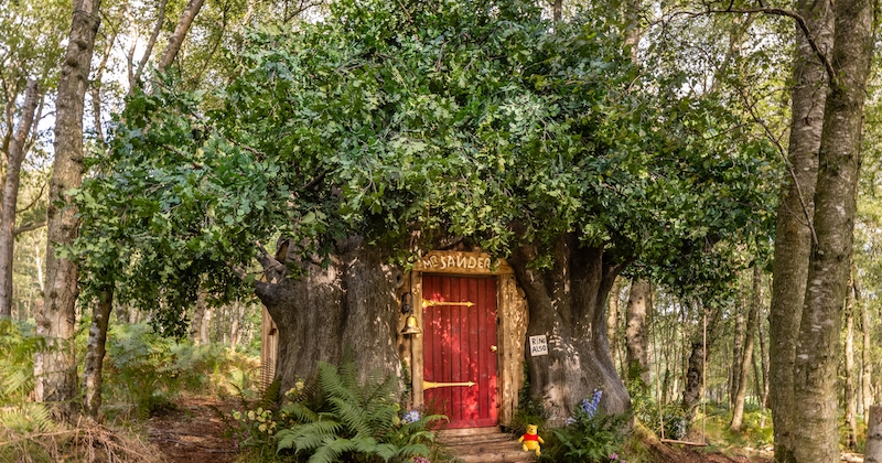 Fan de Winnie l'Ourson ? Vous pouvez désormais louer sa cabane sur Airbnb