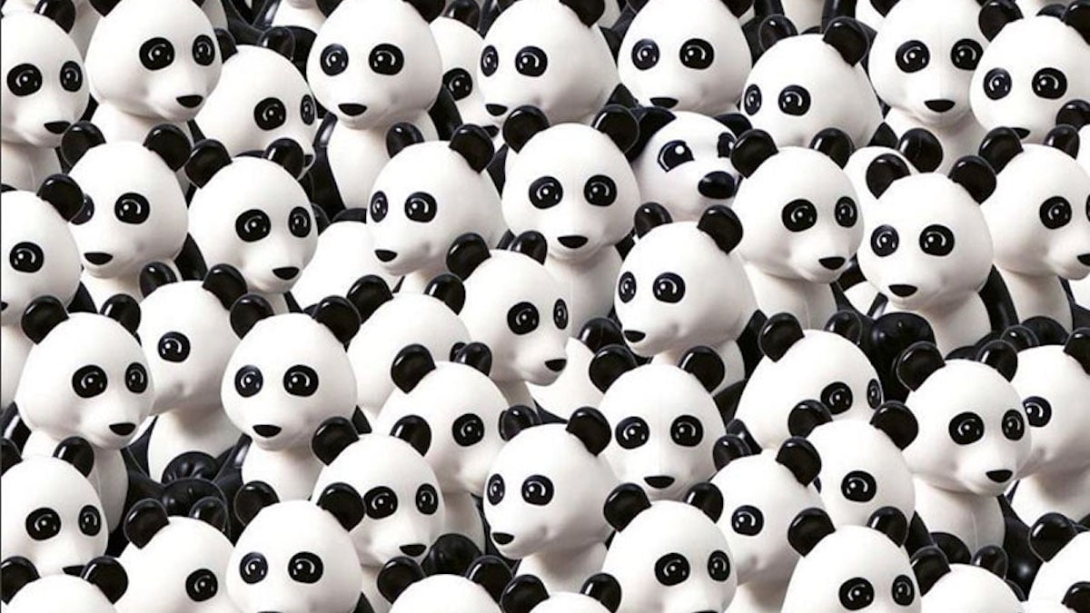 Un chien est caché parmi ces pandas, saurez-vous le retrouver sur cette image ?