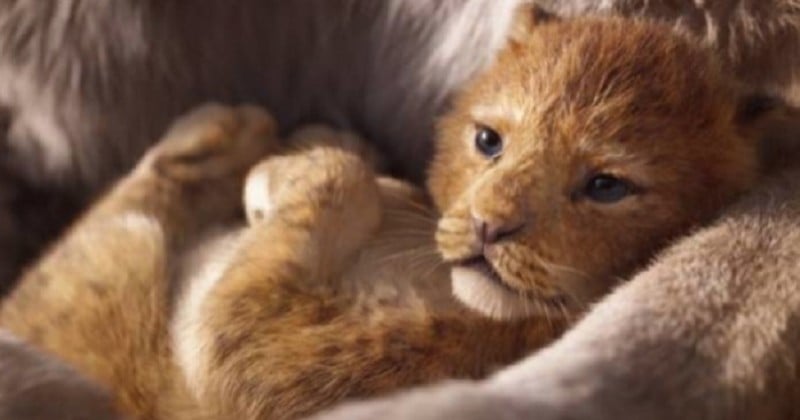 Le Roi Lion : Disney dévoile la date de sortie et une nouvelle bande-annonce du film 