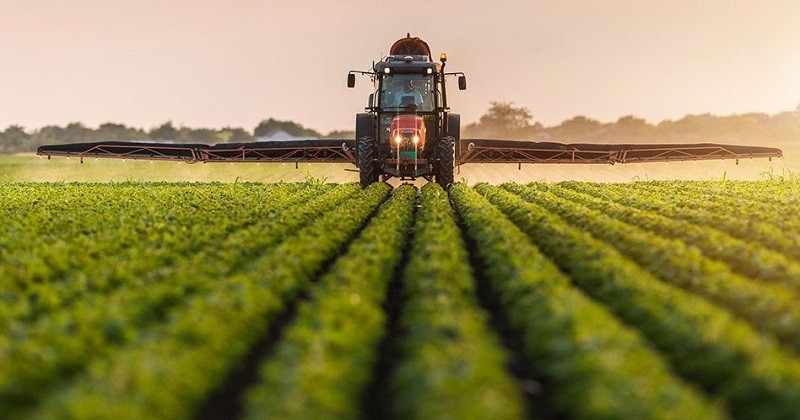 Un rapport parlementaire affirme que le glyphosate serait moins dangereux que le saucisson