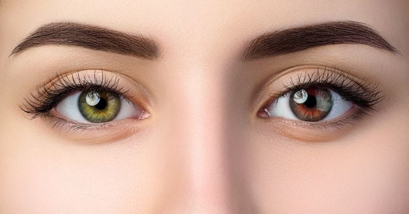 Selon la science, voici ce que la couleur de vos yeux dit de votre personnalité