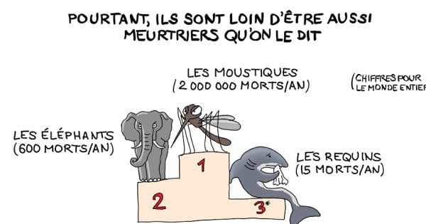 Cette illustration nous explique de façon simple et amusante pourquoi nous devons lutter contre l'extermination des requins.