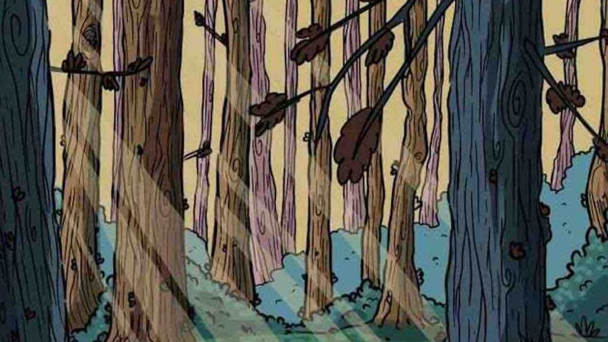 Test visuel : arriverez-vous à trouver la chouette qui se cache dans cette forêt en seulement 13 secondes ?