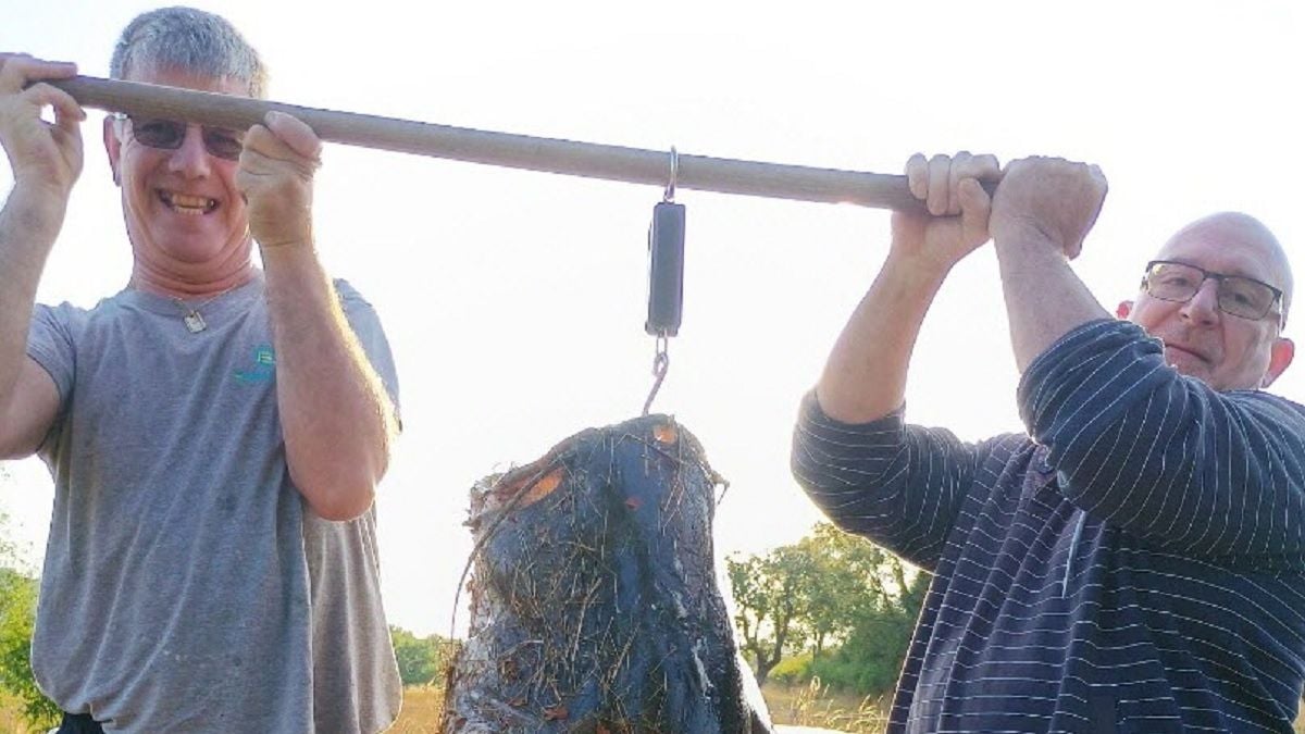 Deux pêcheurs portant un silure de 45 kilos