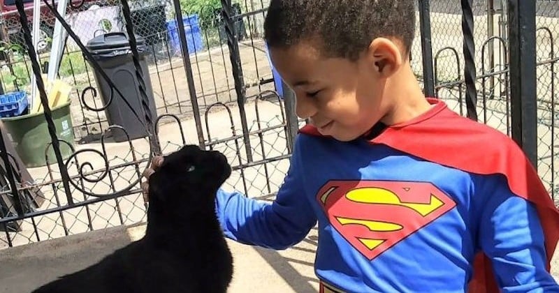 Ce petit garçon se déguise en super-héros pour aider et nourrir les chats de gouttière