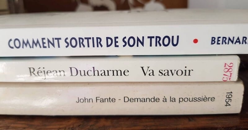 Empiler les livres pour créer des poèmes avec des titres, le nouveau challenge qui cartonne sur Facebook