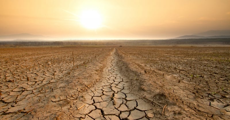 El Niño : ce phénomène météorologique rare pourrait apporter des chaleurs extrêmes