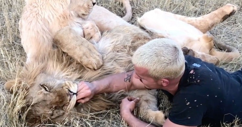 Dean Schneider, l'homme qui murmurait à l'oreille des animaux sauvages