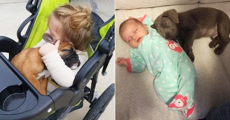 16 photos qui prouvent que les enfants qui grandissent avec un chien sont pleinement épanouis