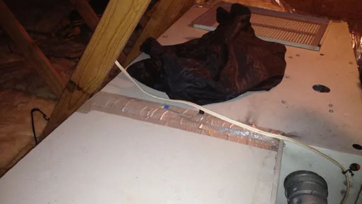 Elle découvre que son ex-petit ami vivait dans son grenier 12 ans après la fin de leur relation