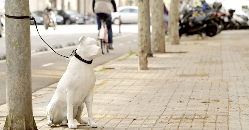 À Barcelone, des chiens blancs immobiles interpellent : La mairie de Barcelone souhaite sensibiliser contre les abandons des animaux